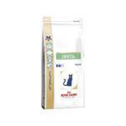 Picture of Royal Canin Cat Dental S/O 3kg