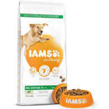 Picture of Iams Vitality Dog Large Breed Lamb 12kg