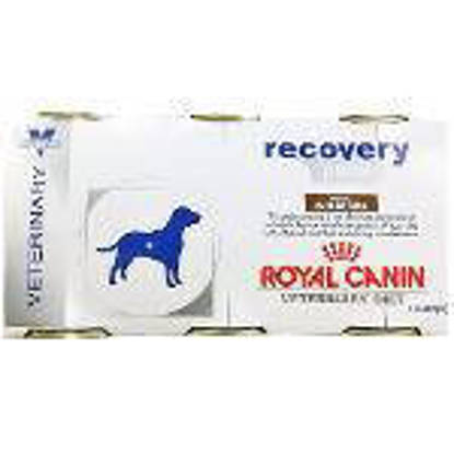 Picture of Rcw Gastro Intestinal Recovery Feline 4x100g