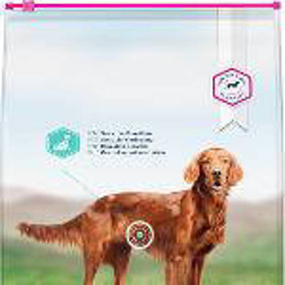 Picture of Eukanuba Daily Care Sensitive Digestion - 12kg