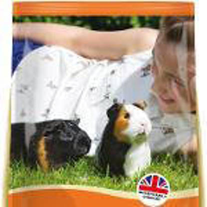 Picture of Excel Guinea Pig - 4 x 2kg