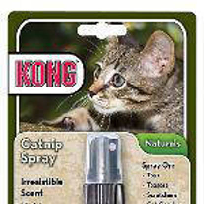 Picture of Kong Catnip Spray
