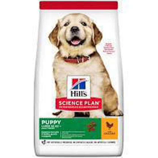 Picture of Hills Science Plan Puppy Large Breed with Chicken 16kg