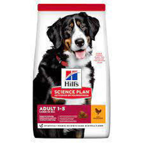 Picture of Hill's Science Plan Adult Large Breed Dry Dog Chicken Flavour - 18kg
