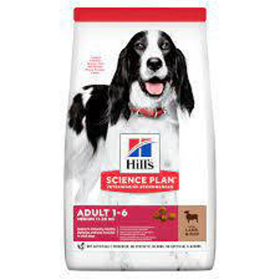Picture of Hill's Science Plan Adult Medium Dry Dog Lamb & Rice Flavour - 18kg