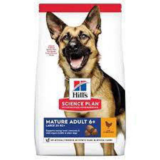Picture of Hill's Science Plan Mature Adult Large Breed Dry Dog Chicken Flavour - 18kg