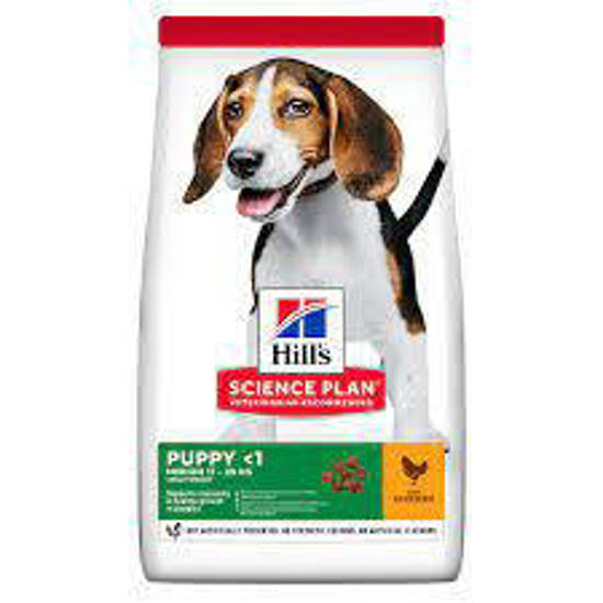 Picture of Hill's Science Plan Puppy Medium Dry Dog Food Chicken - 18kg