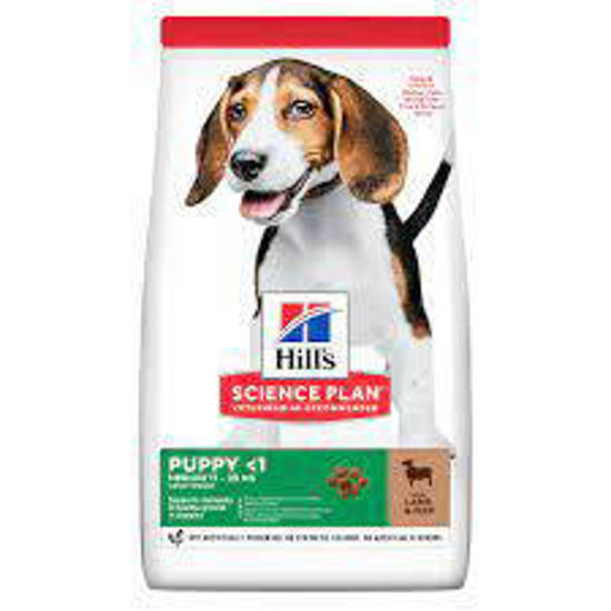 Picture of Hill's Science Plan Puppy Medium Dry Dog Food Lamb - 18kg