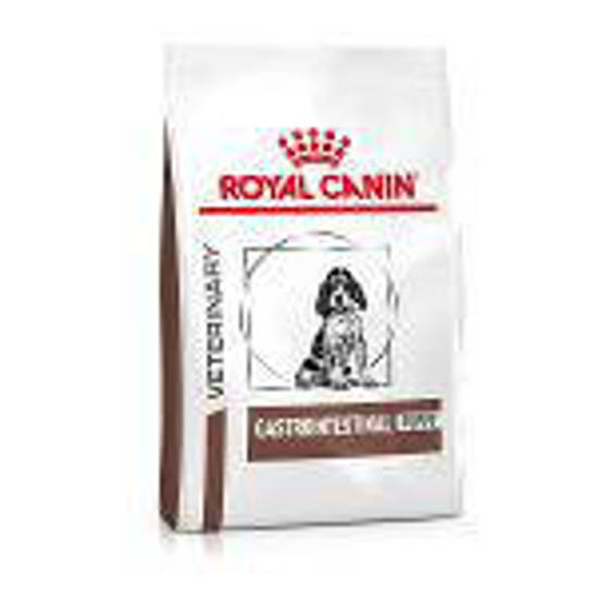 Picture of ROYAL CANIN® Gastrointestinal Puppy Dry Dog Food 10kg