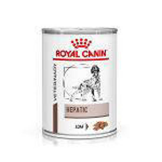 Picture of ROYAL CANIN® Hepatic Adult Wet Dog Food Loaf 12 x 420g