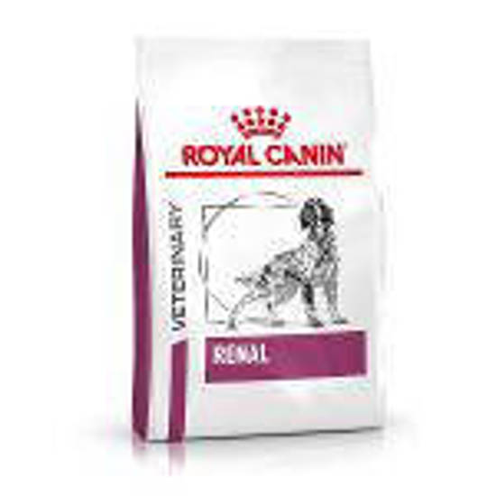 Picture of ROYAL CANIN® Renal Adult Dry Dog Food 2kg