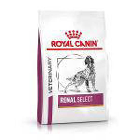 Picture of ROYAL CANIN® Renal Select Adult Dry Dog Food 10kg