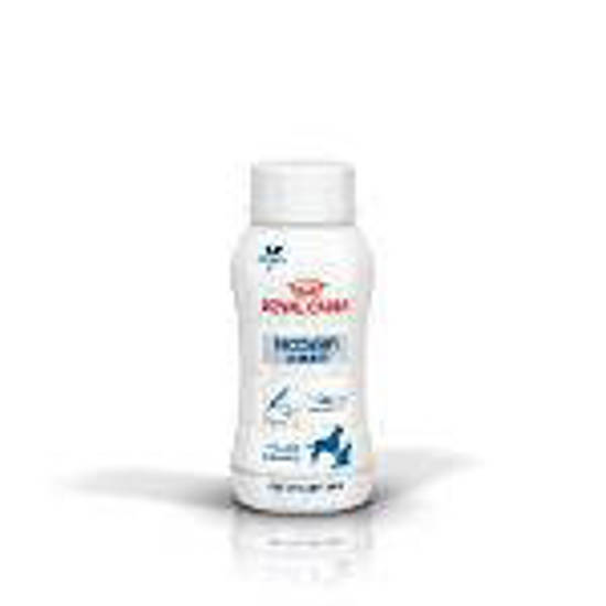 Picture of ROYAL CANIN® Recovery Liquid Adult Wet Dog & Cat Food 3 x 200ml