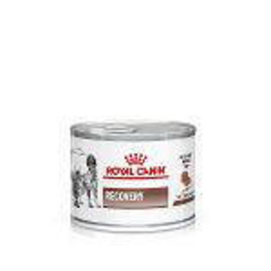 Picture of ROYAL CANIN® Recovery Adult Wet Dog & Cat Food 12 x 195g