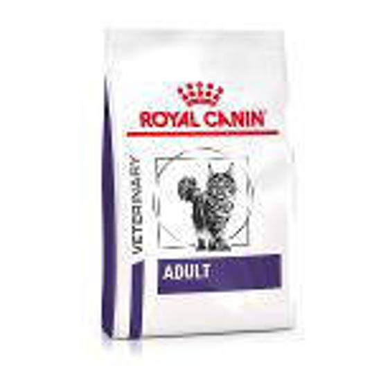 Picture of ROYAL CANIN® Adult Dry Cat Food 2kg
