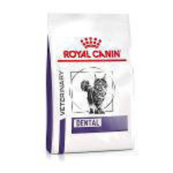 Picture of ROYAL CANIN® Dental Adult Dry Cat Food 3kg