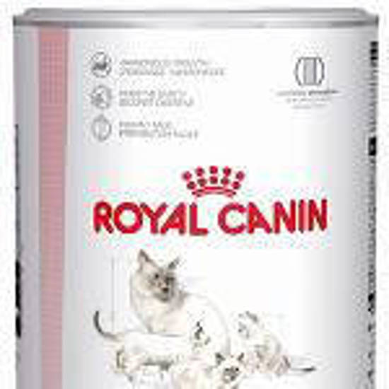 Picture of ROYAL CANIN® Babycat Milk Wet Kitten Food 300g