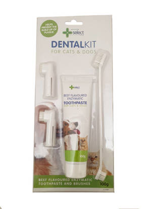 Picture of Dental Care Kit