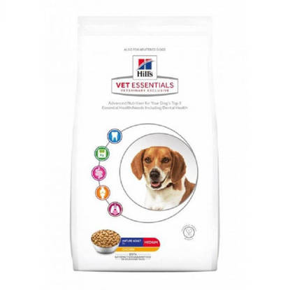 Picture of Hills Vet Essentials Canine Dental Health Mature 7+ Adult 2kg