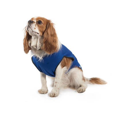 Picture of Dog Cooling Coat Small