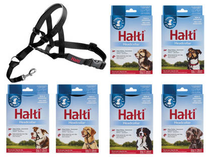 Picture of Halti Dog Headcollar Black Size 02