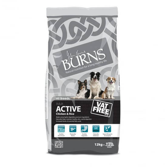 Picture of Burns Canine Active Chicken & Rice 12kg